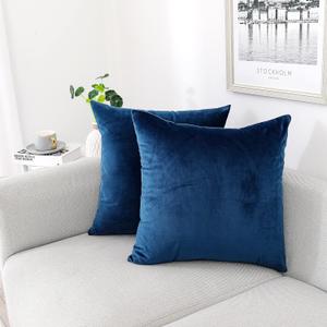 NiNi ALL Decorative Throw Pillow Covers Pack of 2 Velvet Throw Pillow Cases for Couch Pillows Cover Bedroom Living Room Outdoor Blue Pillow Covers 18x18 Inch