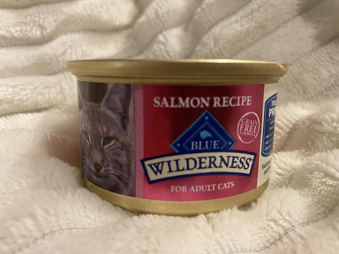 Blue Buffalo Wilderness Salmon Canned Cat Food, Case of 24