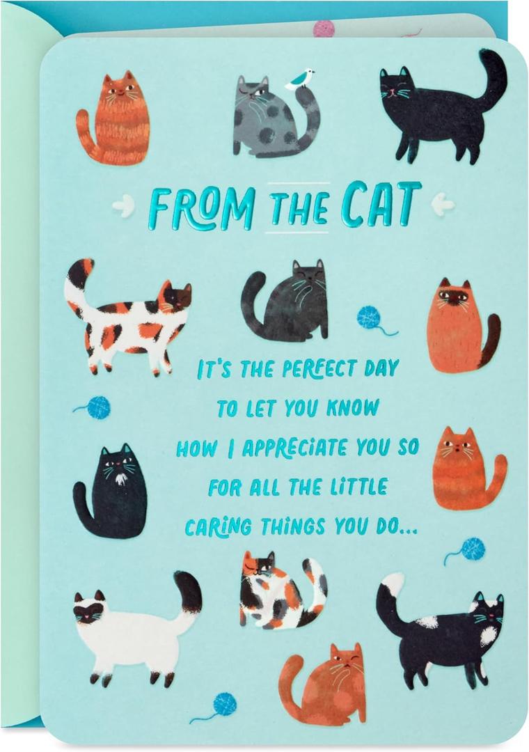 Hallmark Cat Mom Card from Cat (Glad I Adopted You) for Mother's Day, Birthday, Kitten Adoption Day