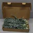 120 Pcs 4 Kinds Mixed Eucalyptus Greenery Stems, Baby Breath Flowers Artificial Bulk and Greenery Stems for DIY Bouquets Wedding Home Floral Decor