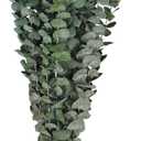 Dried Eucalyptus for Shower Bundle,16.5" Hanging Eucalyptus Lavender Bouquet,100% Real Eucalyptus Leaves Branches for Vase Filler, DIY Artificial Plant,Dried Flowers Arrangement Home Decor (Style 1)