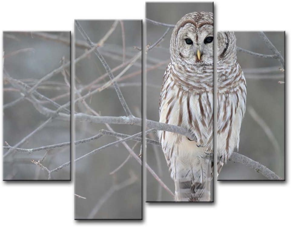 Owl Wall Art Painting White Owl in The Tree Prints On Canvas The Picture Animal Pictures Oil for Home Modern Decoration Print Décor
