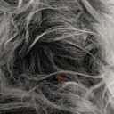 Wolf Costume Set Grey Wolf Ears Headband, Gloves and Tails, Grey Wolves Costume Accessories for Party Halloween Dress Up Performances Costumes Parties Cosplay