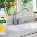 BIO KLEEN LQUD Dish Hand MSTRZNG 25 fl. oz.