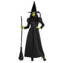 Morph Witch Costume for Women - Adult Halloween Witch Outfit - Spooky Women's Costume for Parties and Celebrations, Medium