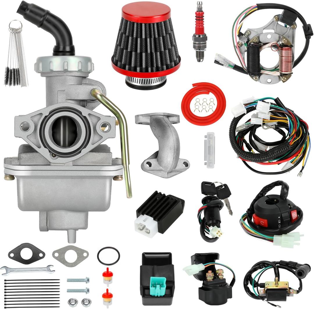 PZ20 Carburetor Kit and Complete Wiring Harness Compatible with Tao tao Coolster 110cc 125cc Chinese ATV Quad 4 Wheeler 4-Stroke Kazuma Baja Roketa Parts with Ignition Coil Voltage Regulator