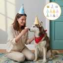 11PCS Adorable Party Hats Set Birthday Hats for Dog/Cat Birthday Party Hat with Pom Poms Mini Partys Hat for Pet Decorations Photo Props Memorable Celebrations