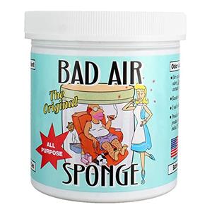 Bad Air Sponge 14OZ Pack Of 5