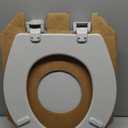 Bemis 500EC 062 500EC062 Toilet Seat, 1 Pack Round, Ice Grey