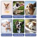 Paw Legend Washable Dogs Diapers Male Dog Belly Bands for Male Dogs Diapers Reusable Puppy & Doggie Diapers Male (5 Pack, Large)