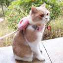 Yuehuam Pet Backpack Harness with Leash for Cat Small Dog Self Mini Carrier Back Pack Pocket Saddle Bags Puppy Bag with Training Lead Leash for Doggie Outdoor Travel Hiking Walking, Pink, M (Chest: 11-16.5, Fits 7-16.5 lbs)