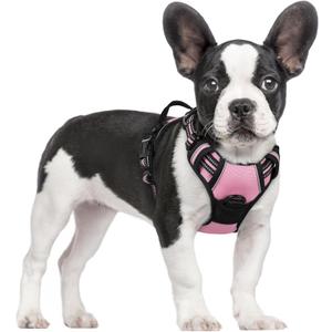 rabbitgoo Dog Harness No Pull with 2 Leash Clips, Adjustable Soft Padded, Reflective Oxford No Choke Pet Vest with Easy Control Handle for Small Dogs, Pink, S