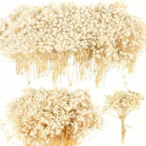Mini Dried Babys Breath Flowers, Ivory White Baby Breath Flower Bulk, Dried Flowers for Crafts, Wedding Decor Boho Invitation, Resin Candle Making, Dry Babies Flowers, Rustic Gypsophila