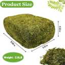 Riare 2.6LBS Artificial Fake Moss for Fake Plants Indoor- Premium Faux Craft Moss for Potted Plant, Fresh Forest Green for Hamsters Micro-Landscape Terrariums Centerpieces Decor