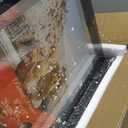 Trwcrt 4 Pack 8x10 Floating Picture Frame, Double Glass Picture Frames Display up to 10 x 12 photos for Desktop or Wall Hanging, Black