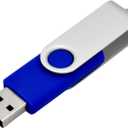 Generic 4 GB Flash Drive 10 Pack USB Flash Drives 4G USB 2.0 Memory Stick Thumb Drive(10Pack Blue, 4GB)