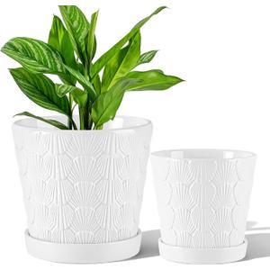 Ceramic Planter,5+6 Inch Ceramic Flower Pots with Drainage Hole&Tray,Embossed Seashell Design Plant pots,Planters for Indoor Plants Succulent Cactus,Flower Pot Home Decor-Set of 2,White