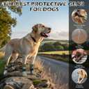 EXPAWLORER Anti Slip Dog Socks to Prevent Licking Paws, Shoes for Hot Pavement, Dog Booties for Small Medium Large Senior Dogs, Traction Control Boots & Paw Protectors for Hardwood Floors ArmyGreen