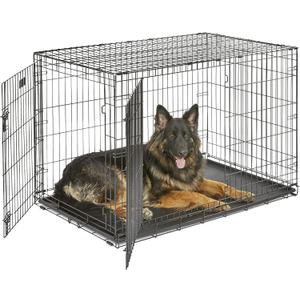 MidWest Homes for Pets 48-Inch iCrate for Extra-Large Breeds, 90-110 lbs, Double Door Folding Dog Crate with Divider Panel, Leak-Proof Tray & Secure Latches, Portable, Durable & Easy to Assemble (Black)