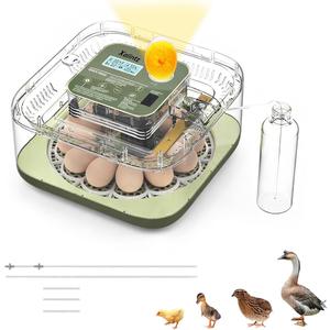 Automatic 12 Egg Incubator - Digital Temperature/Humidity Display, Hatch Day Countdown, Auto Egg Turner & Candler with 360° View for Hatching Chicken, Duck, Quail Eggs