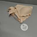 COCOMARTS Jelly Bras for Women No Underwire Scalloped Push Up Wireless Bralettes Seamless Soft Comfort Everyday Tshirt Bra (Beige, S)