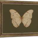Vintage Gold Framed Wall Art Classical White Butterfly Wall Art Small Moody Insect Green Wall Decor Picture Antique Cottagecore Moth Gallery Aesthetic Poster Print for Living Room Bedroom 12x16in