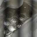 Gold Crystal Chandelier 6-Light Modern 21.6'' Round Pendant Chandeliers Crystal Ball Luxury Ceiling Hanging Lighting Contemporary for Living Dining Room Kitchen Island Bedroom Entryway Foyer (Diameter 21.6", Gold, 6-Light)