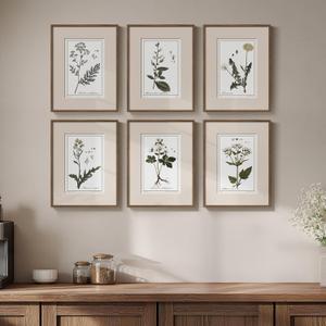 Framed Vintage Botanical Wall Art, 6 Piece Rustic Floral Canvas Painting Prints Artwork for Kitchen Walls, Neutral Flower Pictures for Living Room Bedroom Dining Room Farmhouse Wall Decor, 11x14 (Herbarium - Walnut Framed)