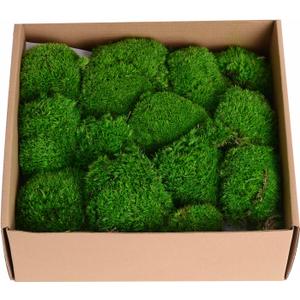 1.5 Sq. Ft. Preserved Moss Pole Decorative Moss for Crafts, Art, Wall Decor (Dark Green)