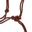 Weaver Leather Diamond Braid Rope Halter and Lead