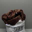 Homemate Electric Heated Blanket Queen - 84"x90" Heating Bed Blankets Throw with 10 Heating Levels 8 Hours Auto Off Fast Heating Over-Heated Protection Ultra Soft Warm Flannel ETL Certified Brown