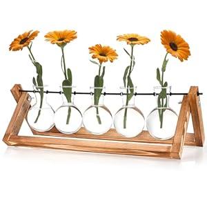 Tigvio Retro Wood Stand Plant Terrarium with 5 Air Planter Bulb Glass Vases, Perfect for Home, Office, or Wedding Decor. Great Desktop Propagation Station and Plant Lover Gift for Women (5 Bulb Vase) Tigvio Retro Wood Stand Plant Terrarium with 5 Air Planter Bulb Glass Vases, Perfect for Home, Office, or Wedding Decor. Great Desktop Propagation Station and Plant Lover Gift for Women (5 Bulb Vase)