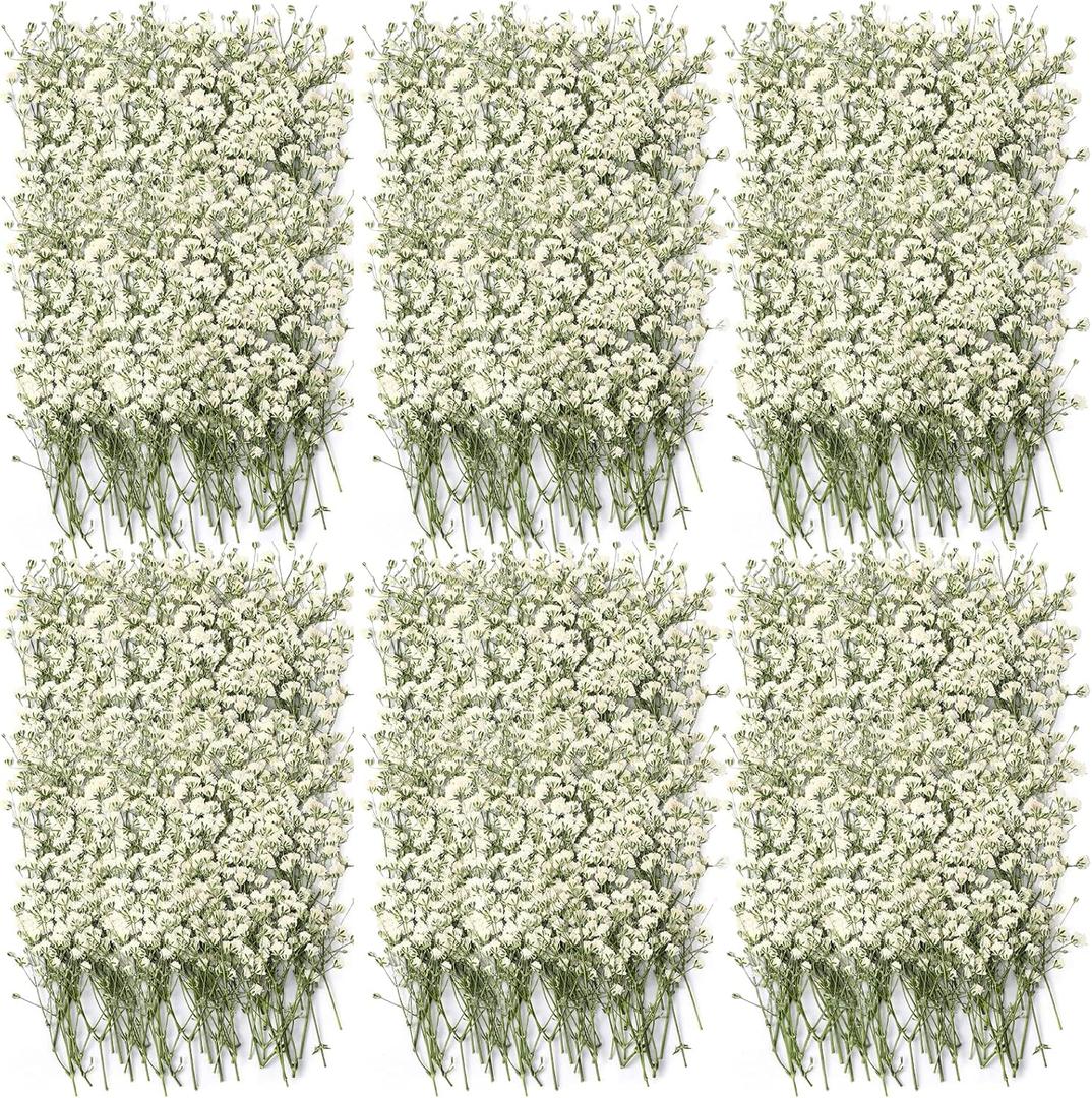 Coume 300 Pcs Mini Dried Babys Breath Flowers Pressed Babys Breath Ivory White Dried Flowers Bulk Natural Gypsophila for Wedding Invitation Bridal Scrapbook Bookmark DIY Art Crafts Card Resin Candle