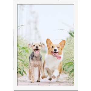 13x19 Picture Frame, White Photo Frames for Gallery Wall Hanging High-Clarity Clear Panel, Horizontal & Vertical Display, Versatile for Poster Canvas Certificate, Size 13 x 19 inches