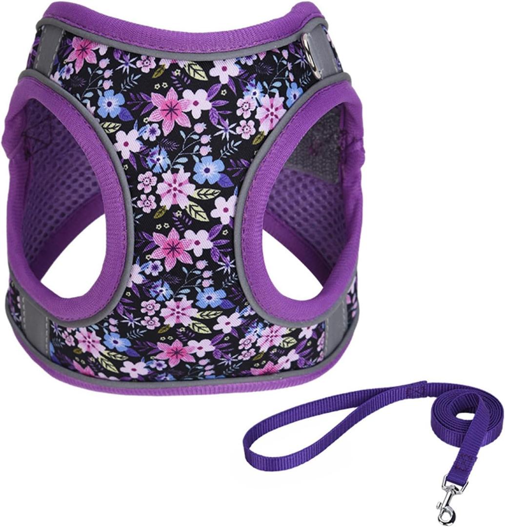 Step in Dog Harness No Pull Flower Adjustable Soft Mesh Padded Reflective Pet Vest Harness and Leash Set for Dogs, XXS