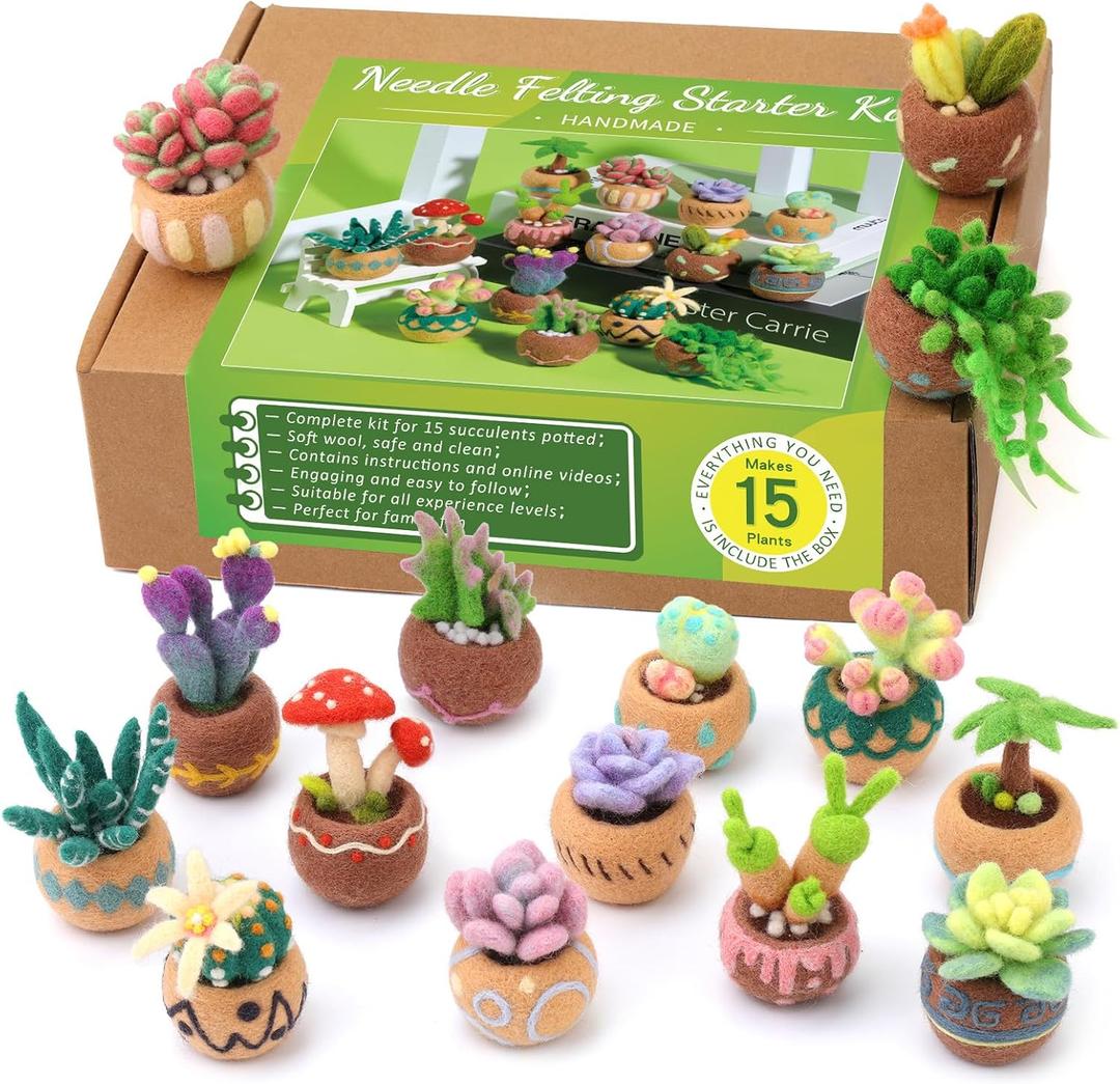 Needle Felting Kit, 15 Pcs Succulent Beginner Needle Felting Kit, Needle Felting Tools, Wool Felting Kit Including Wool Roving, Foam Mat, Felting Needles and Instructions for Diy Felting Starters