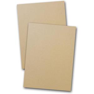 Environment Desert Storm 80 Lb Card Stock - 25 Pk