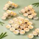 Citronella Scented Tealight Candles Outdoor, 64 Pack - 4-Hour White Tea Lights, 100% Natural Palm Wax Tea Lights Candle, Paraffin-Free, Scented Votive Candles for Indoor/Outdoor Use