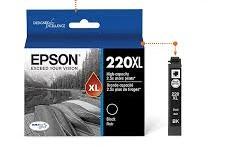 Epson T220XL, One Black 