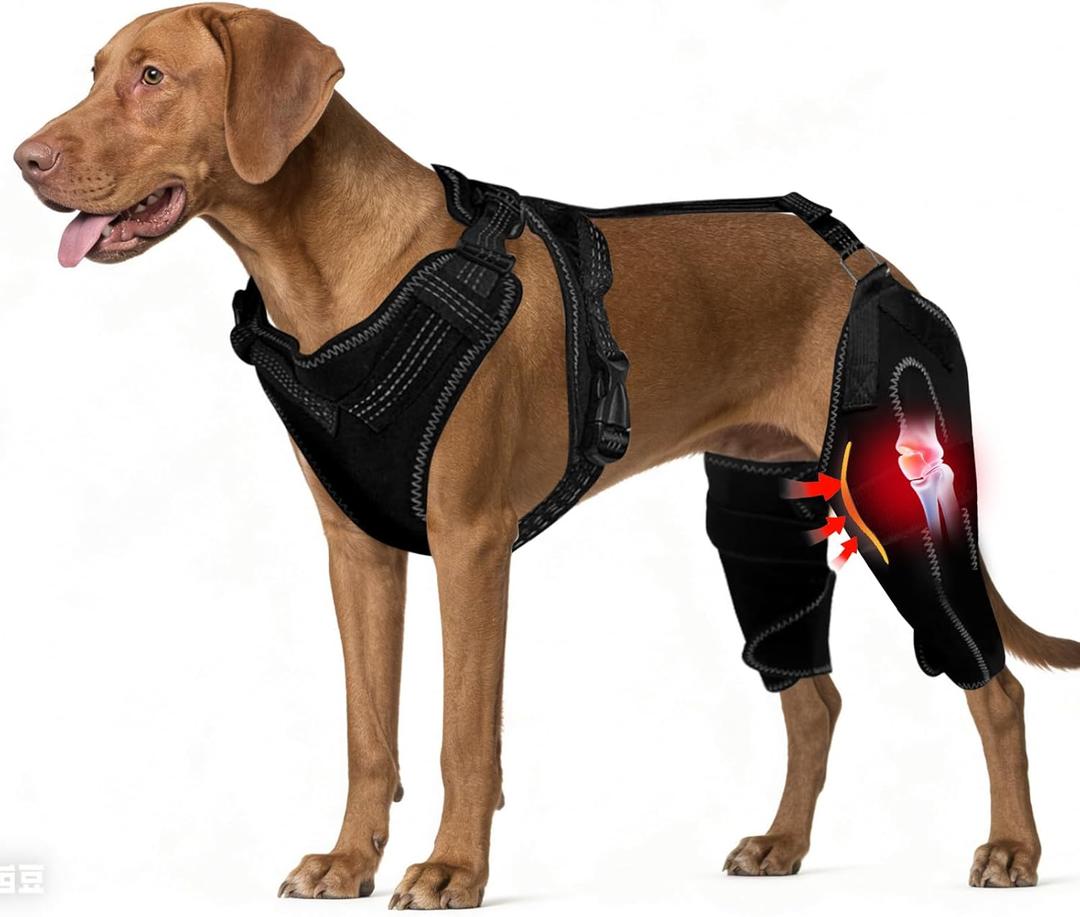 Dog Knee Braces for Back Leg, Adjustable Dog Leg Braces for Torn ACL Hind Leg with Metal Stabilizers, Better Recovery Knee Brace for Rear Leg Cruciate Ligament Injuries & Hip Dysplasia, Large