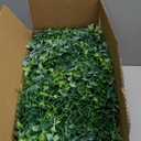 Dolicer 10 Pack Eucalyptus Garland, 60FT Faux Eucalyptus Greenery Garland, Artificial Eucalyptus Leaves Vine, Fake Hanging Eucalyptus Garlands Wedding Backdrop Arch Wall Table Party Decor (Grey Green)