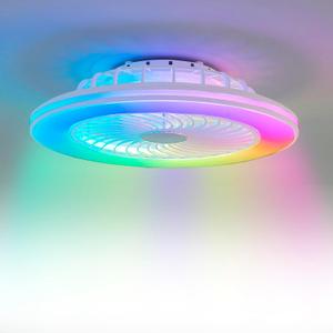 Low Profile Ceiling Fans with Lights, 24" Caged Modern Flush Mount Ceiling Fan with LED Light, Housing Finish White, RGB Main Light