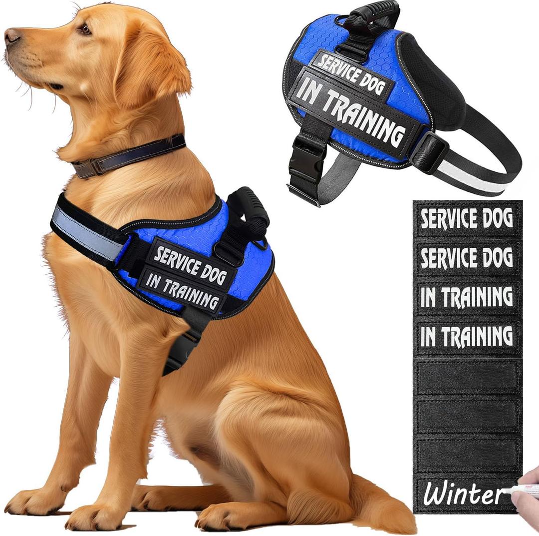 Service Dog Vest,8 Dog Patches No-Pull Service Dog Harness with Handle,Personalized Reflective Dog Vests with 1 Pen Custom Name,Phone Number,Pattern,Easy Control for Medium Pets (Blue)