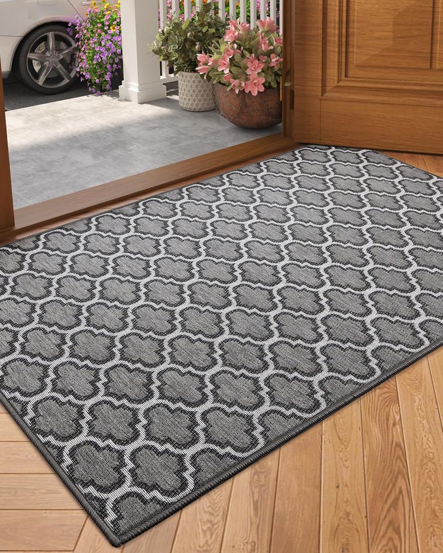 Color&Geometry Door Mat Indoor Entrance 36"x60", Front Door Mat Indoor Rugs for Entryway Non Slip Washable Low-Profile Entryway Rugs Entry Mat Rug Doormat, Grey(Rolled-up NO Creases) (3'x5' (Rectangular))