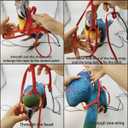 Adjustable Bird Harness with 78.7 Inch Leash, Outdoor Flying Training Rope Kit for Bird Parrots, Parrot Flying Rope Straps Outdoor Training Traction Rope for Small Medium Large Size Birds (XL)