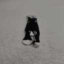 Franklin Sports ACD-2 Sock'R Shin Guards, X-Small, Colors May Vary