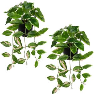 Briful Small Fake Plants Indoor (Set of 2) Realistic Faux Trailing Plant Artificial Potted Plants in Black Pot Pink N' Joy Leaf Houseplant for Living Room Table Kitchen Counter Shelf