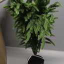Christmas Decorations - 24" Real Touch Artificial Pine Tree in Ceramic Pot