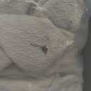 Smiry Waterproof Seat Covers for Dining Room Chairs Set of 6, Stretch Jacquard Removable Washable Chair Seat Slipcovers Protector, No Rear Covers, Beige