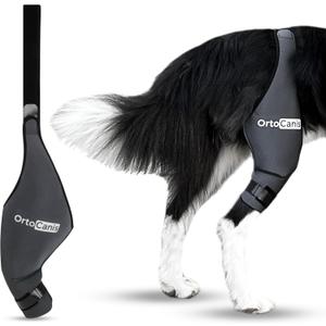 Ortocanis - Dog Knee Brace - For Right Hind Leg - Made of ARD Neoprene - For ACL Tear, Ligament Injuries, Patellar Luxation or Osteoarthritis - Size XX-Large (16,5 - 18 ")